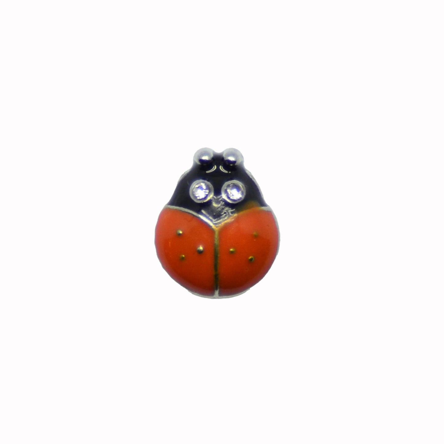 Ladybird