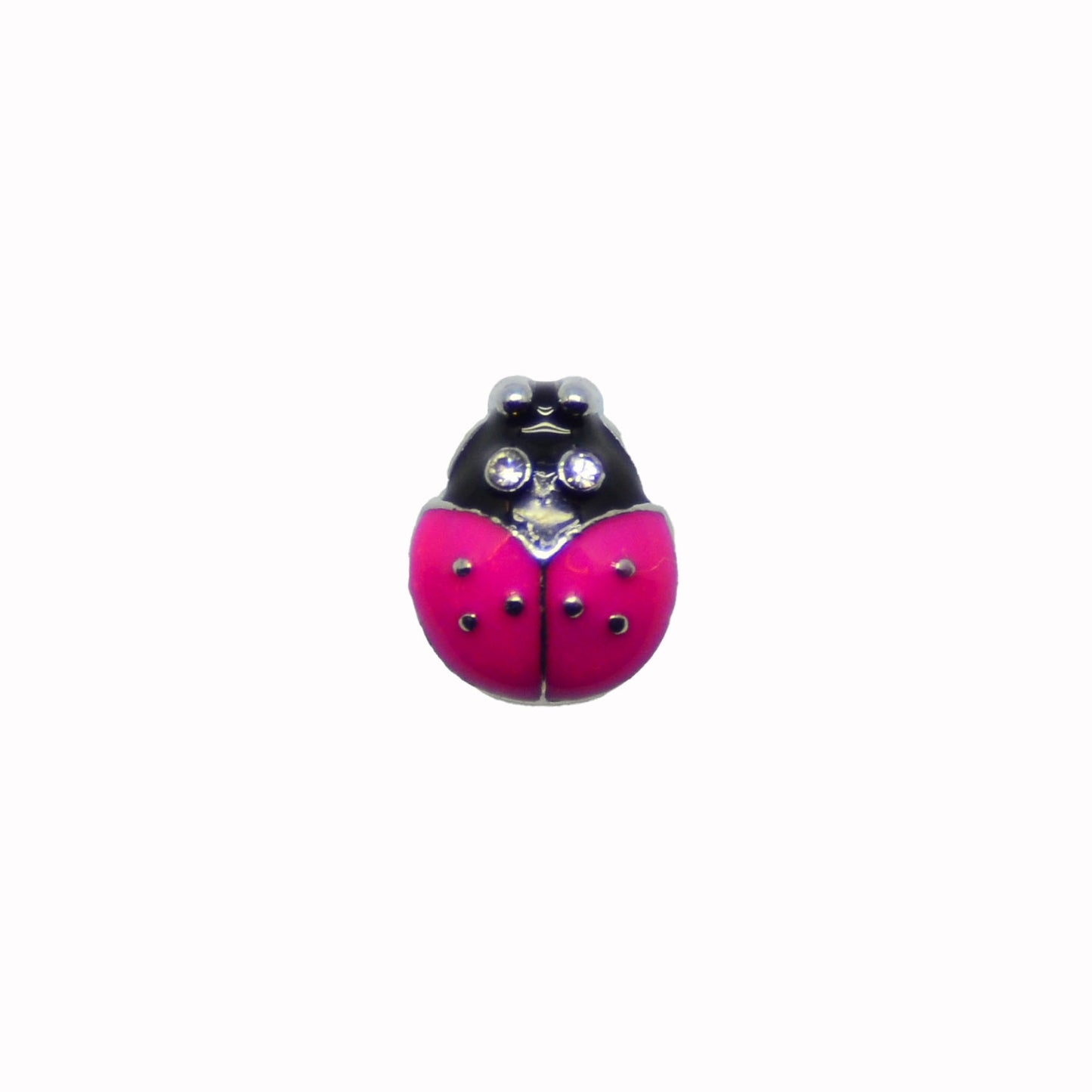 Ladybird